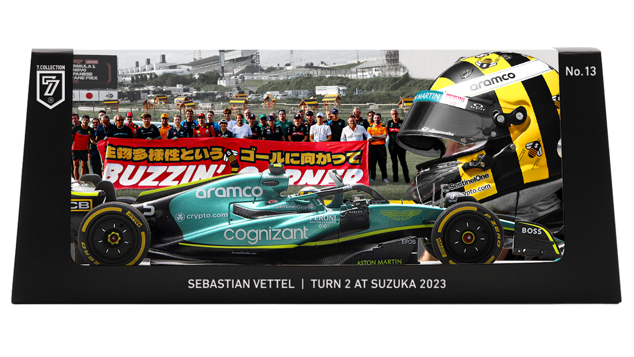 Sebastian Vettel F1 Japanese GP 2023 